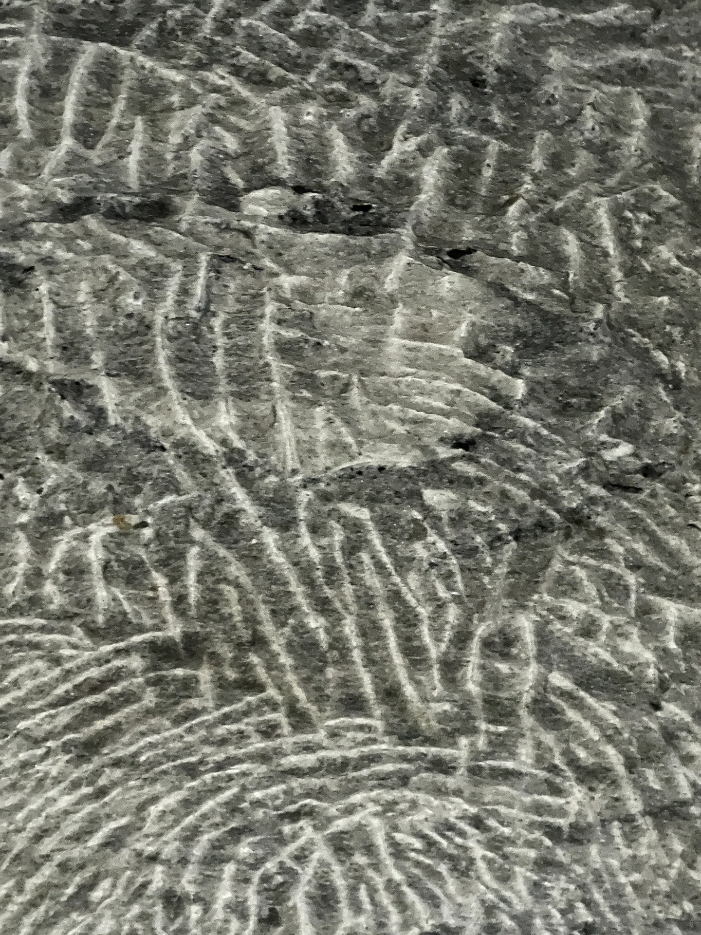 Materia excavada I