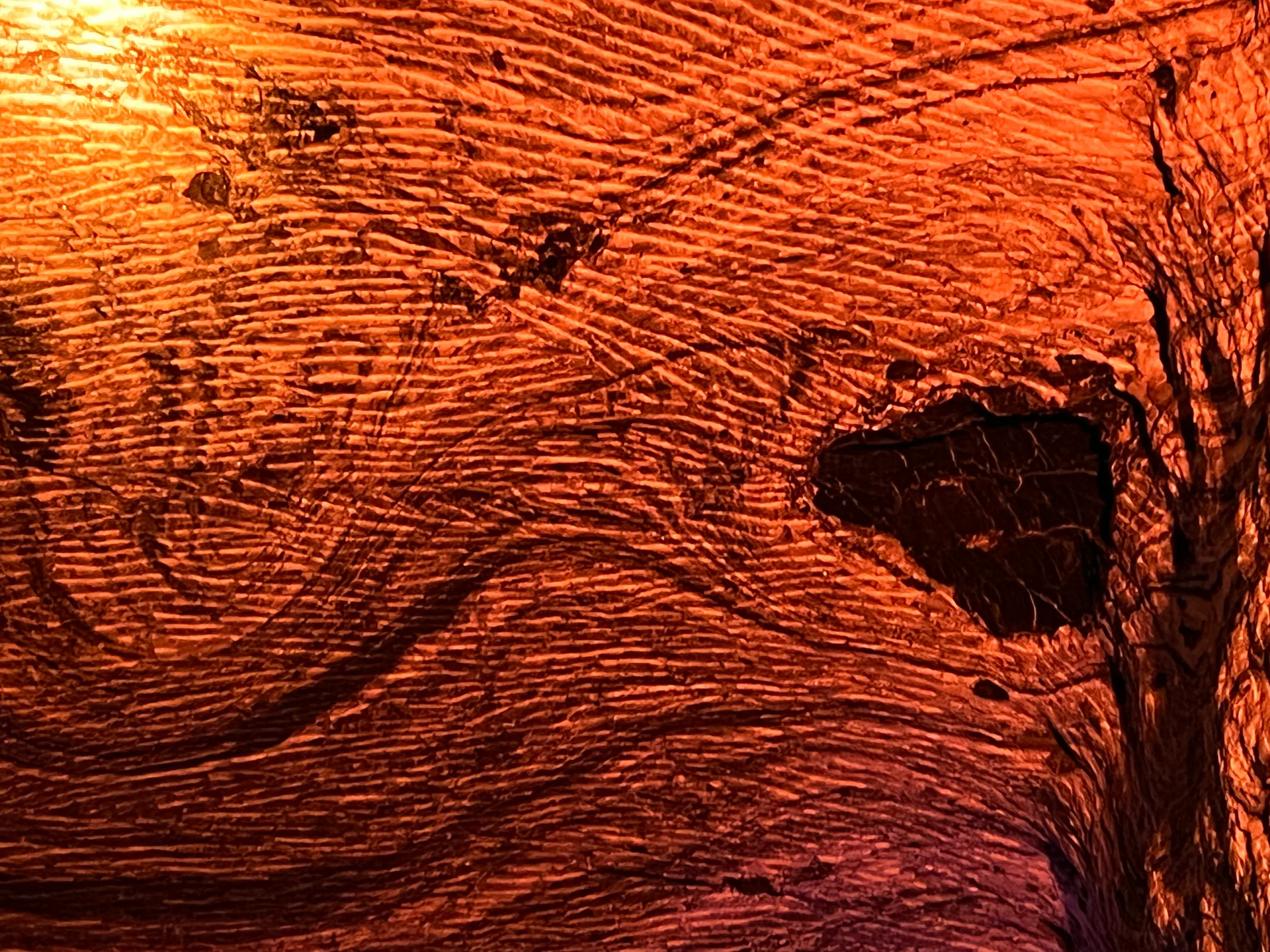 Materia excavada II