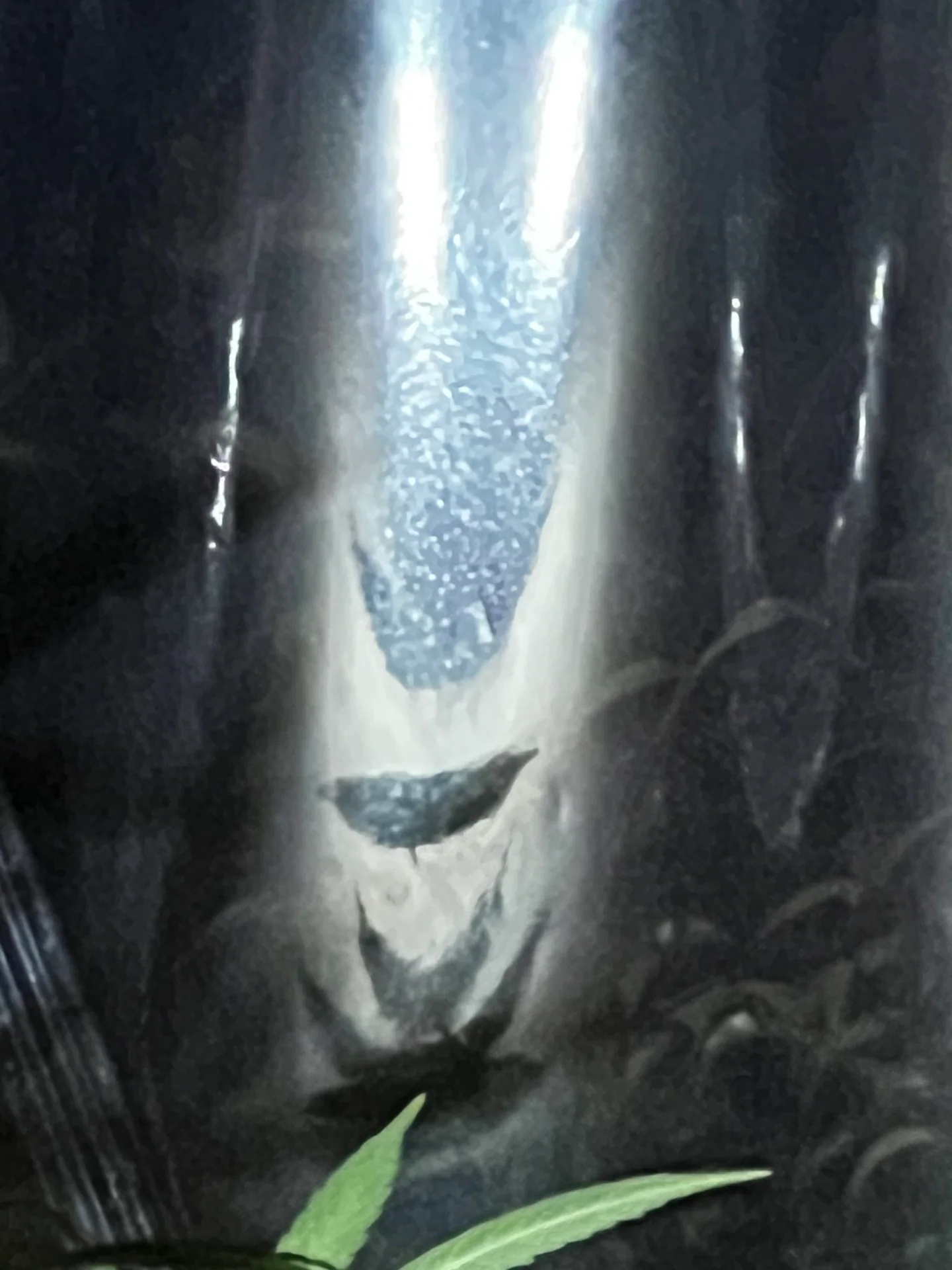 Luz líquida