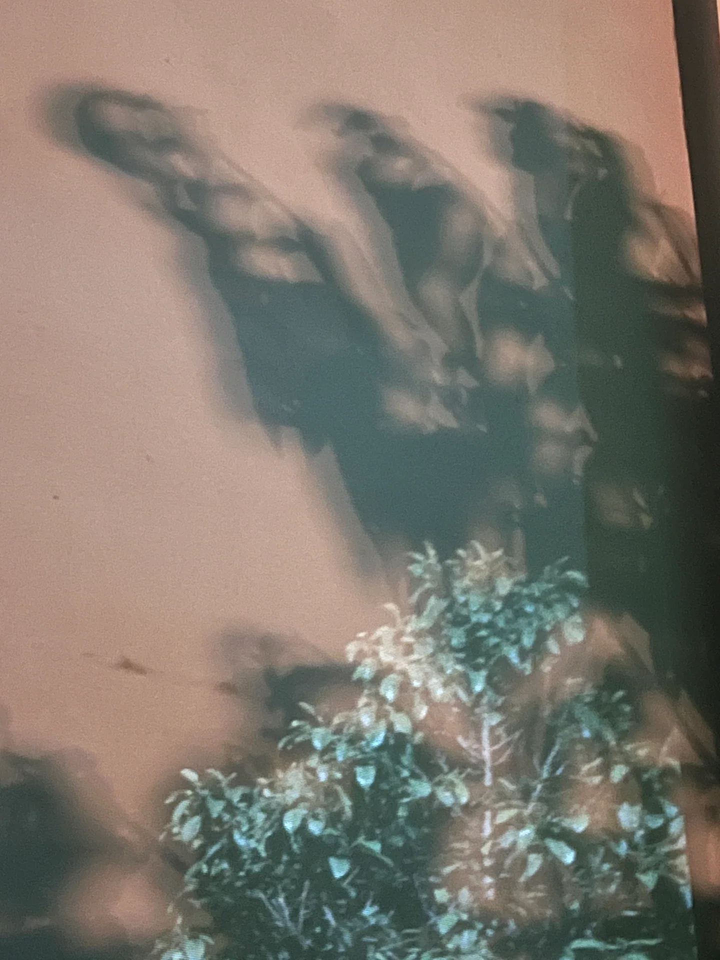 Jardín espectral