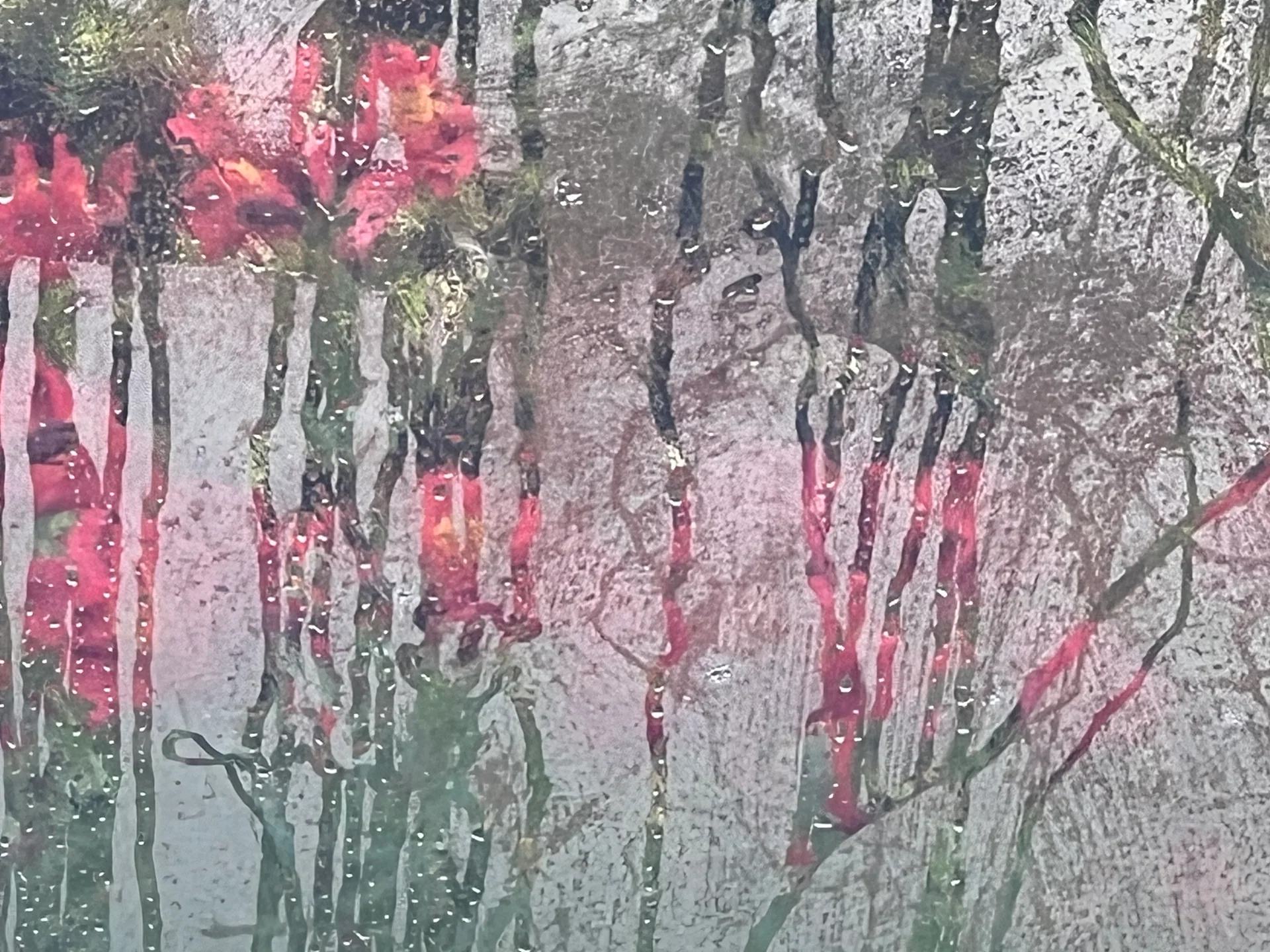 Tras la lluvia — memoria I