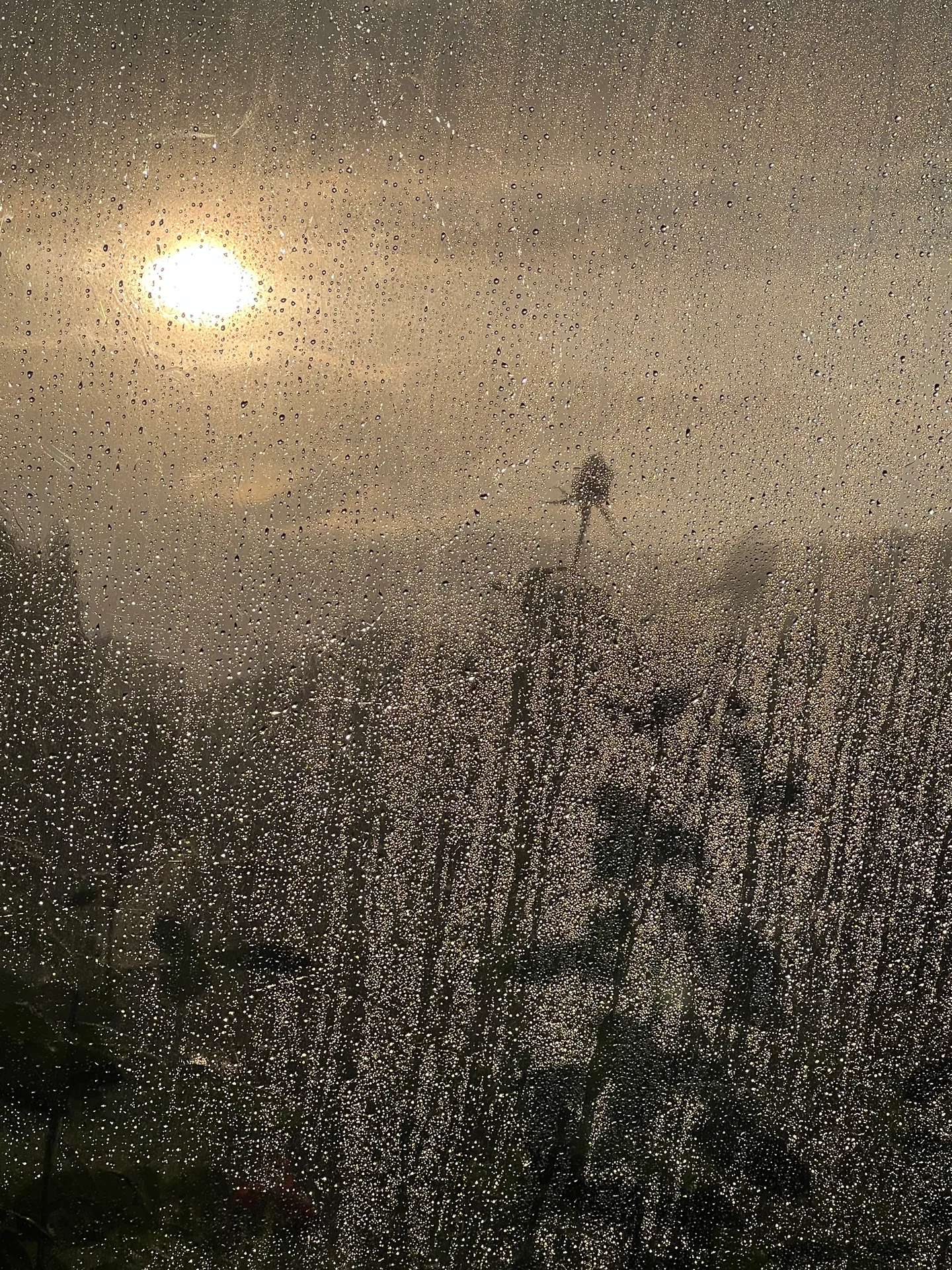Tras la lluvia — memoria II
