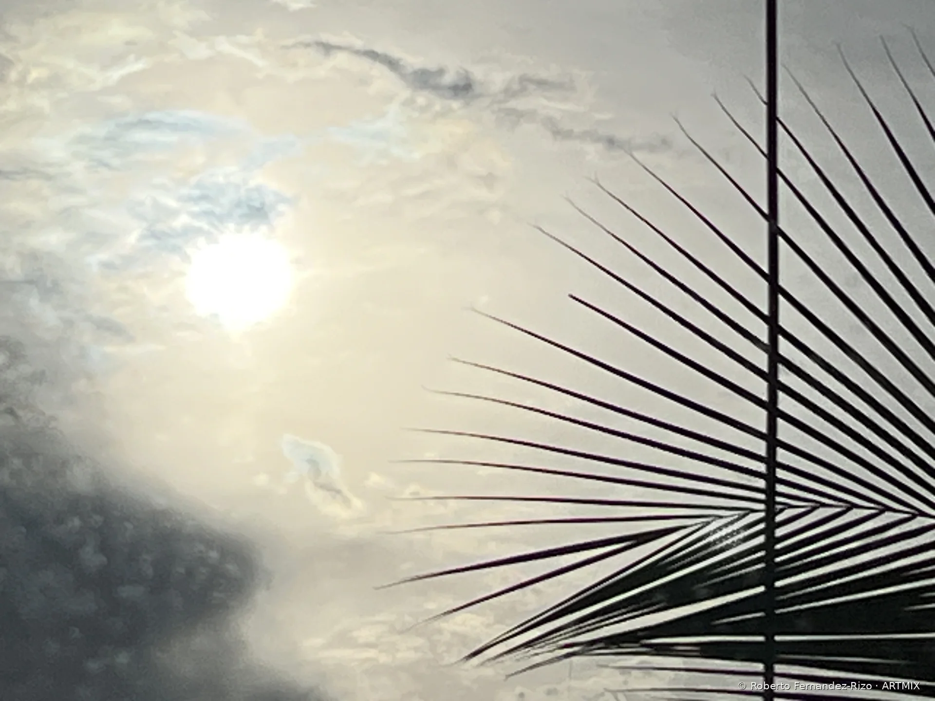 DE LA REALIDAD A LA ABSTRACCIÓN · 17